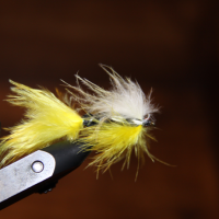 Black Ghost tied with Marabou