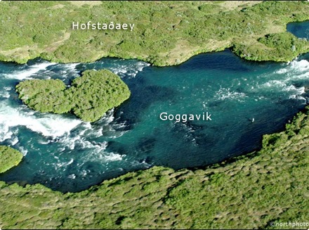 Hofstaðaeyja - Goggavik